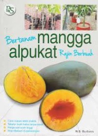 Bertanam Mangga Alpukat Rajin Berbuah